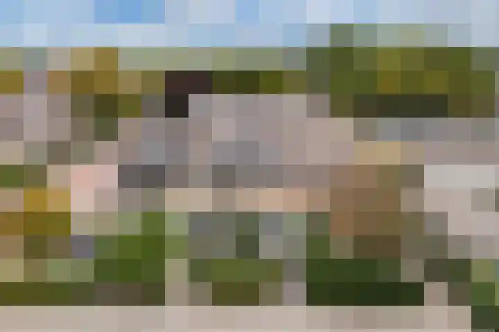 Klaproos 4 Eemnes thumbnail 31