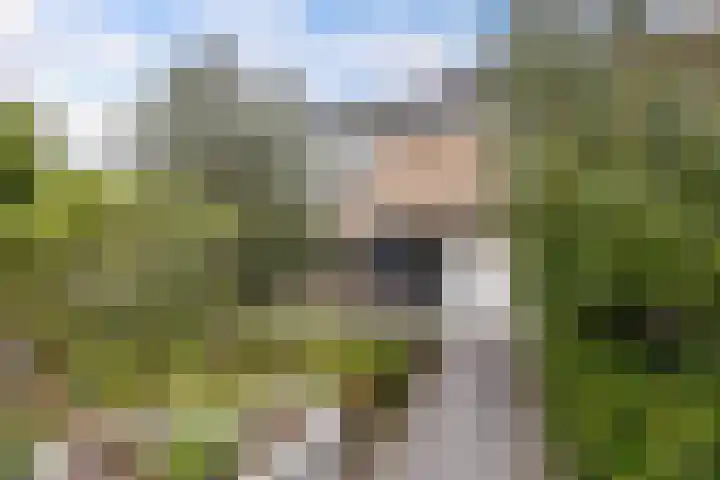 Klaproos 4 Eemnes thumbnail 4