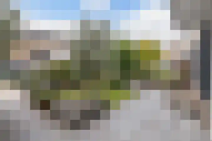 Klaproos 4 Eemnes thumbnail 5