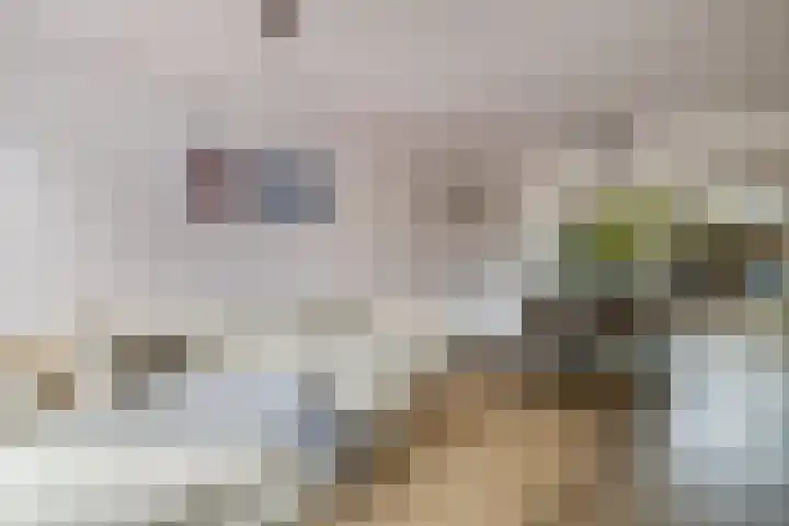 Klaproos 4 Eemnes thumbnail 8