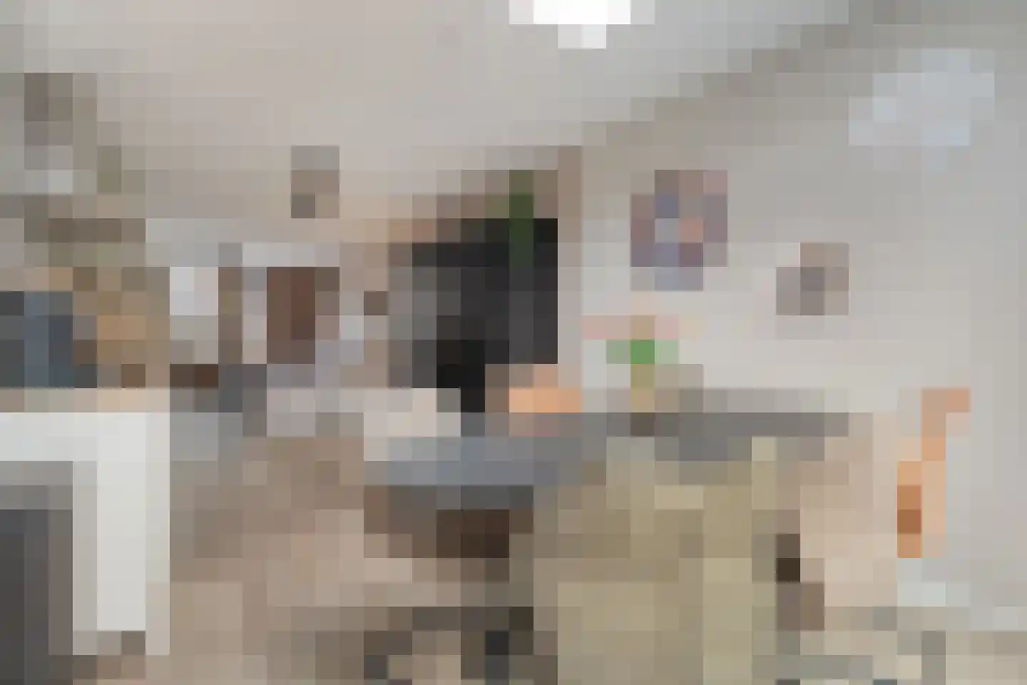 Klaproos 4 Hardenberg thumbnail 13