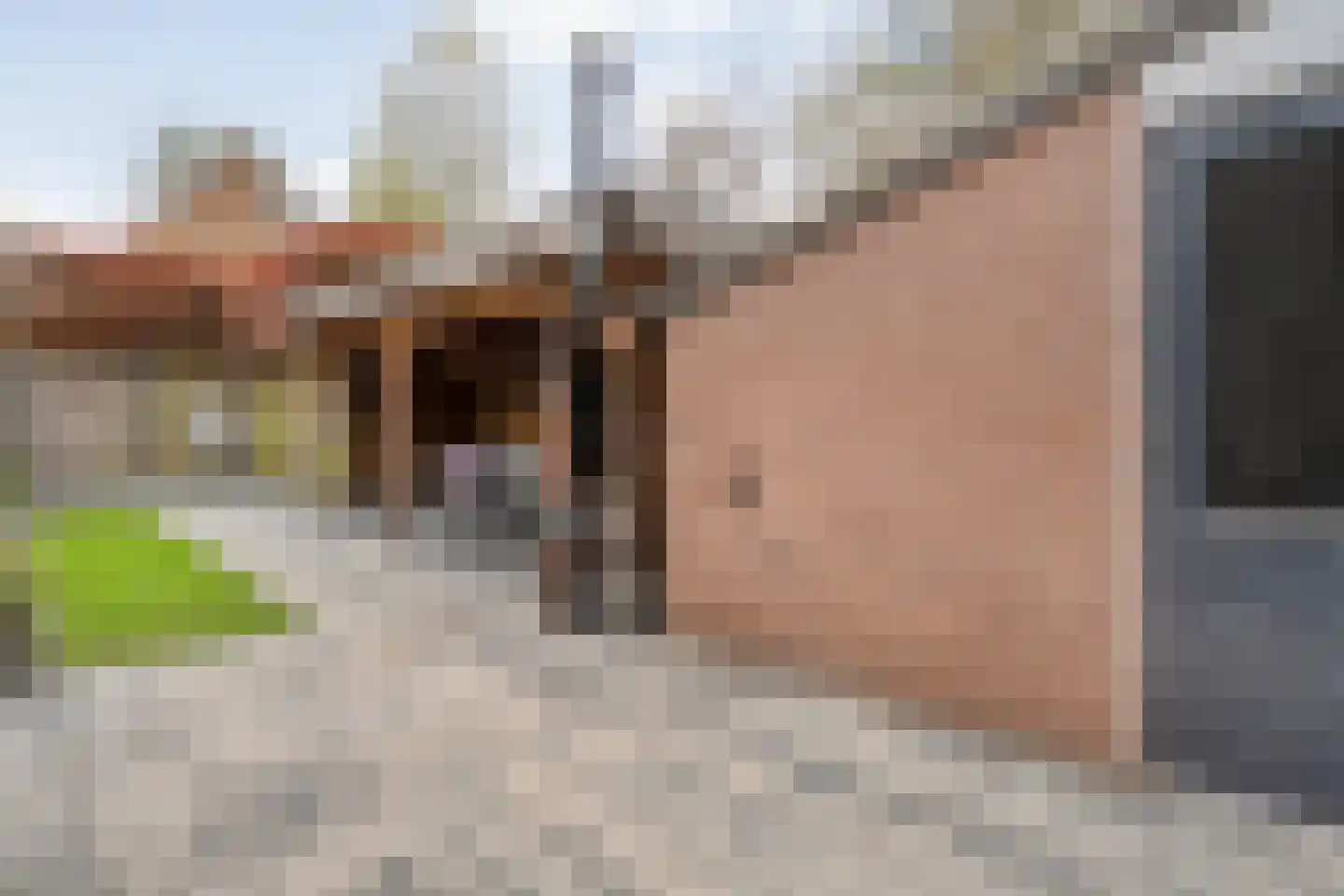 Klaproos 4 Hardenberg thumbnail 36