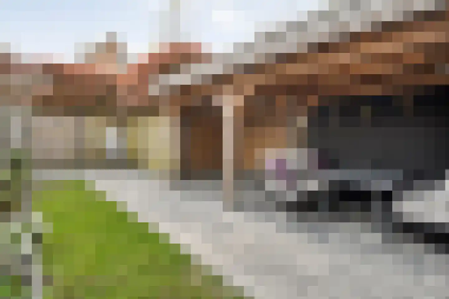 Klaproos 4 Hardenberg thumbnail 37