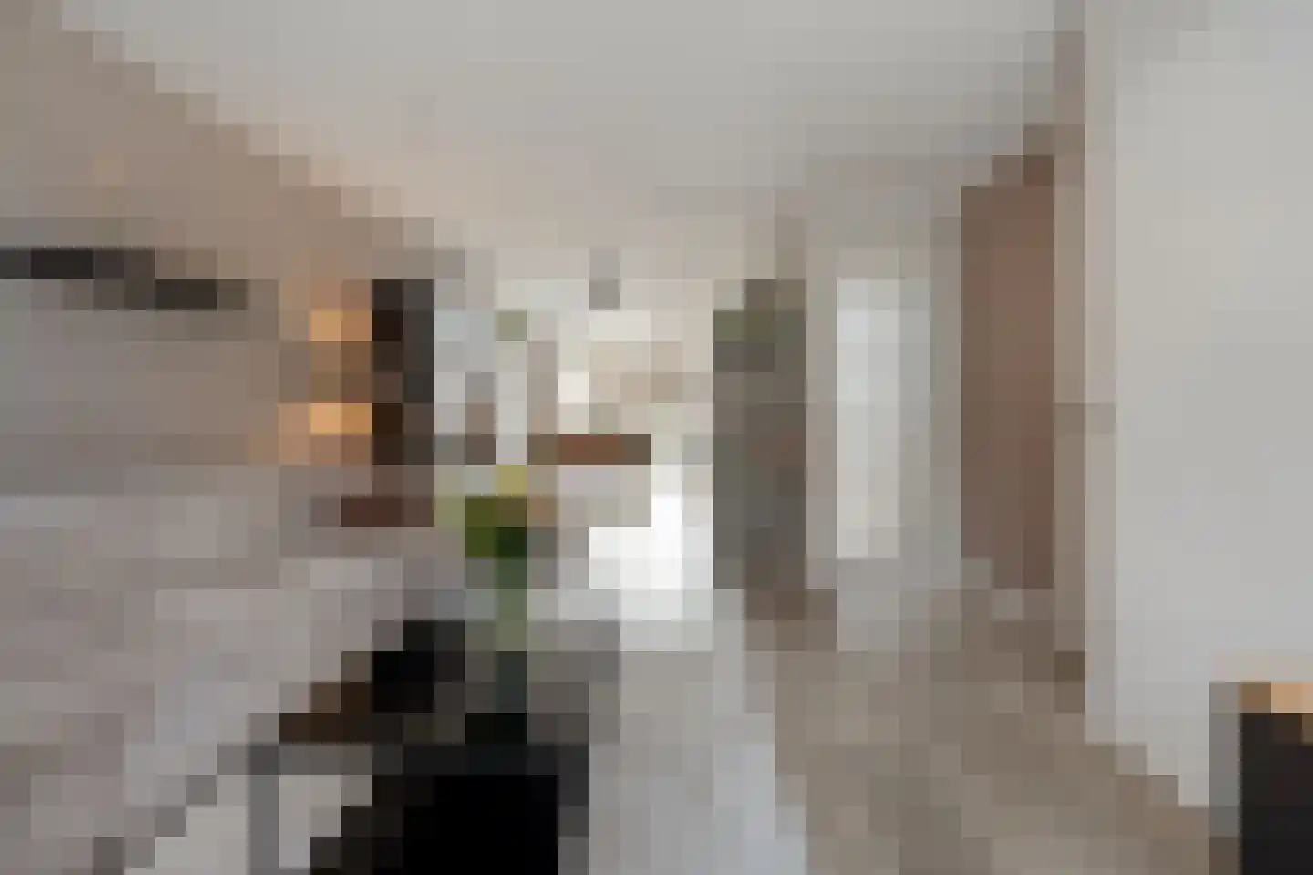 Klaproos 4 Hardenberg thumbnail 4