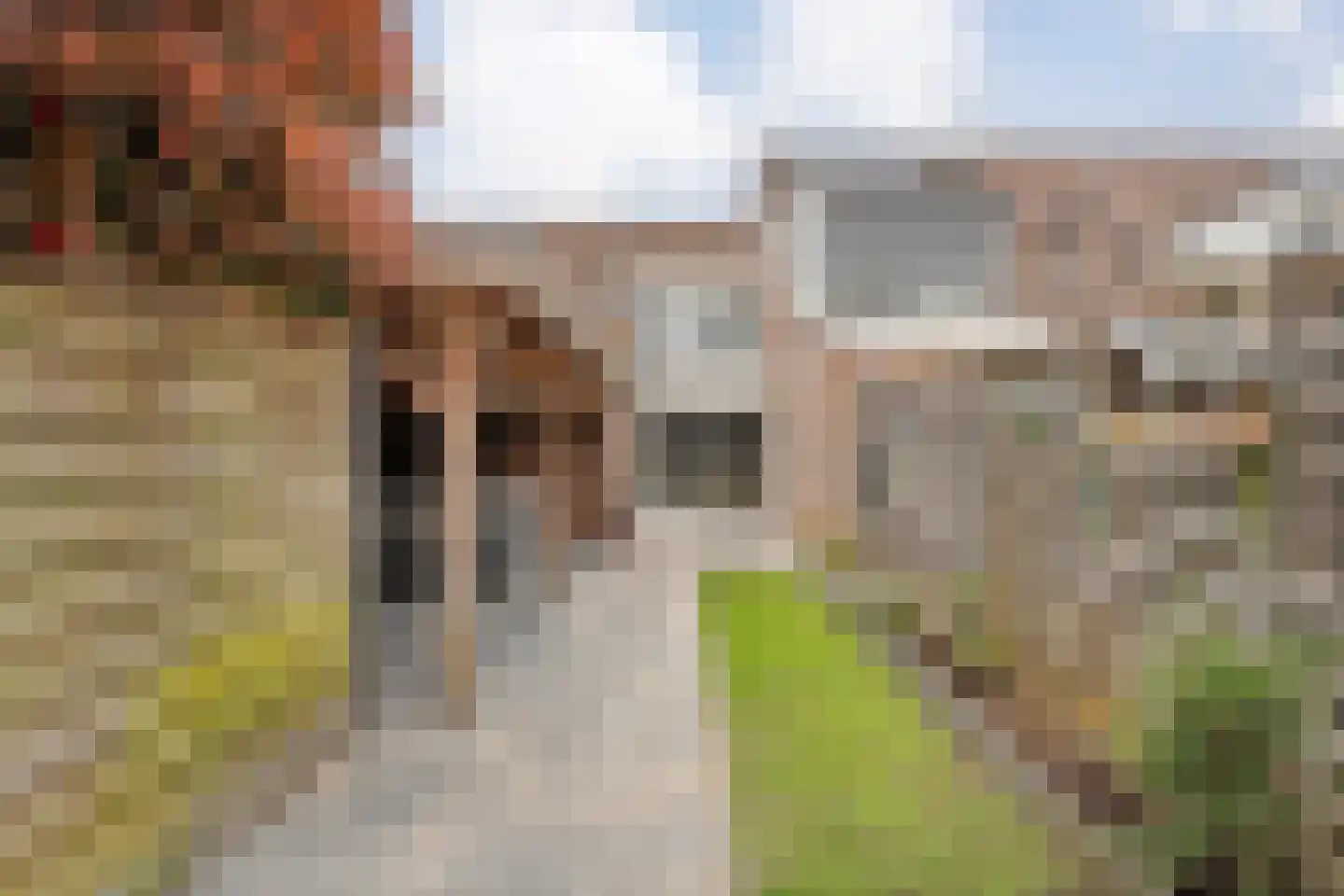 Klaproos 4 Hardenberg thumbnail 41