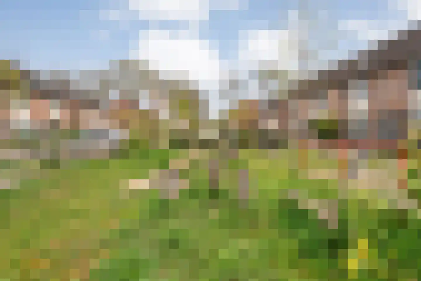 Klaproos 4 Hardenberg thumbnail 44