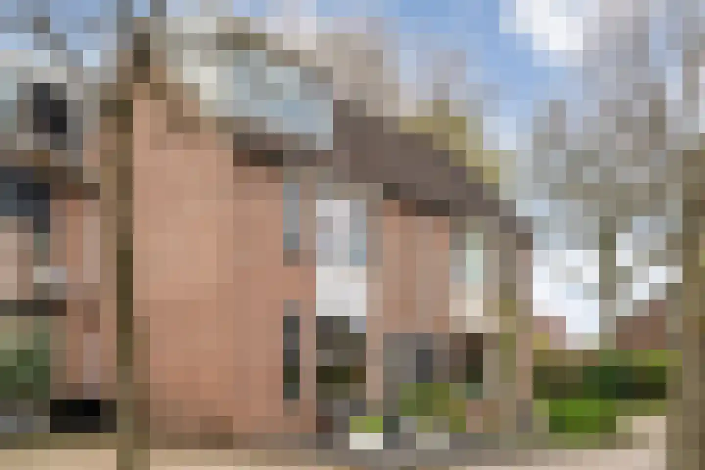 Klaproos 4 Hardenberg thumbnail 46