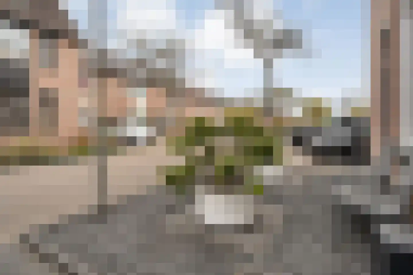 Klaproos 4 Hardenberg thumbnail 48