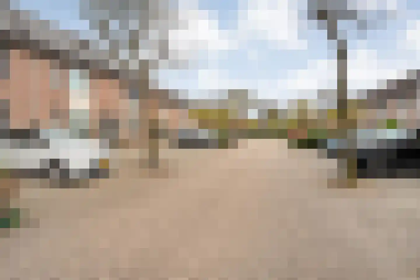 Klaproos 4 Hardenberg thumbnail 50
