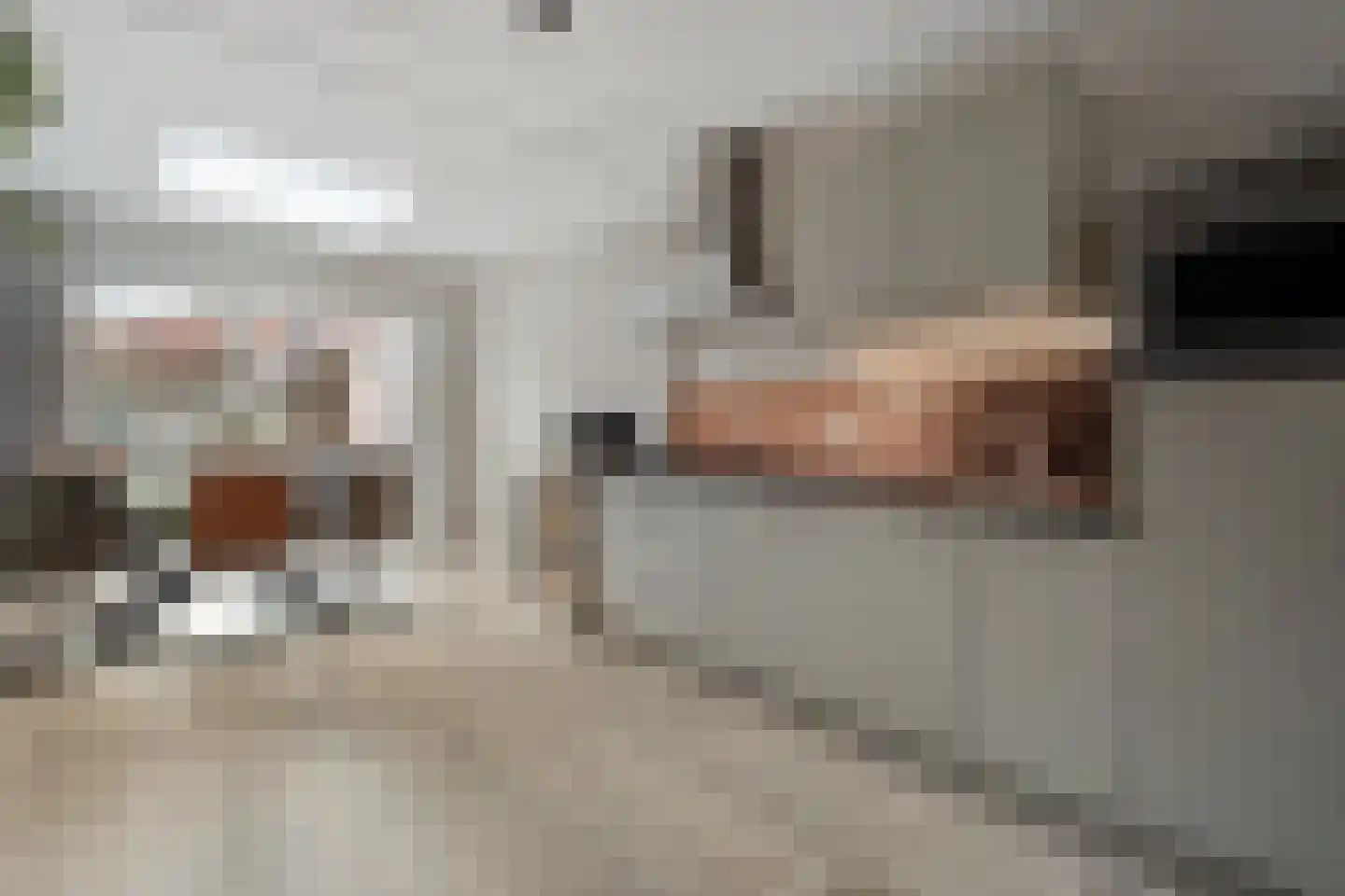 Klaproos 4 Hardenberg thumbnail 8