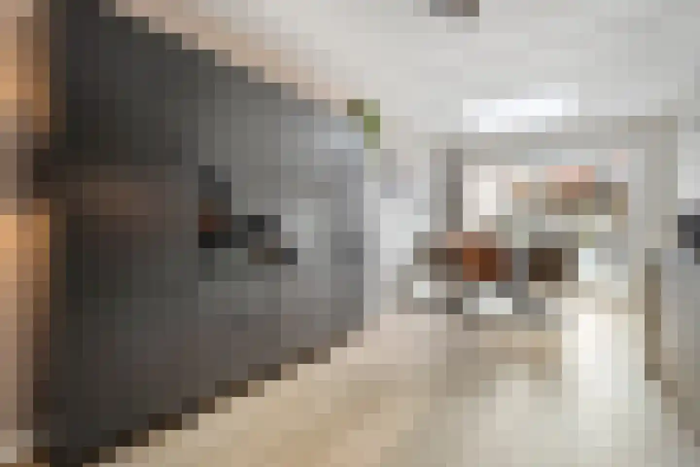 Klaproos 4 Hardenberg thumbnail 9