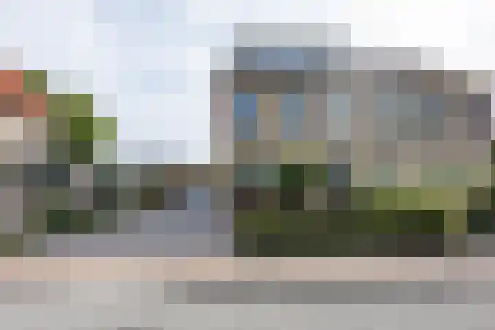 Klaproos 4 Marum thumbnail 11