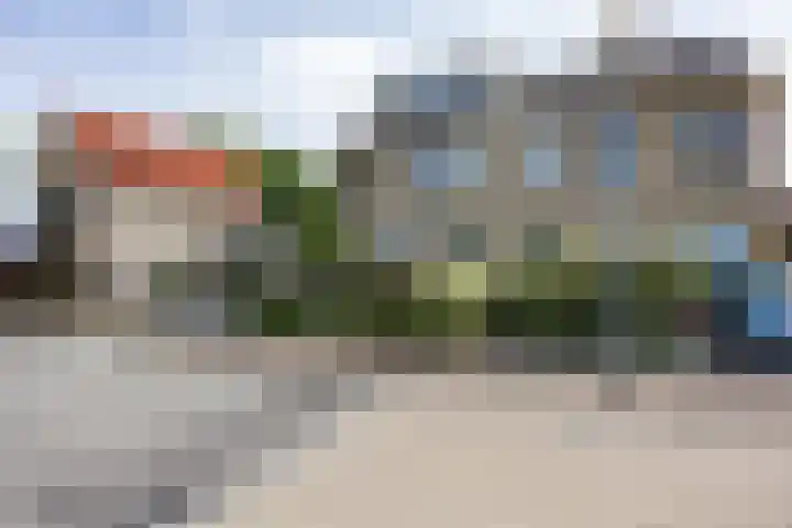 Klaproos 4 Marum thumbnail 12