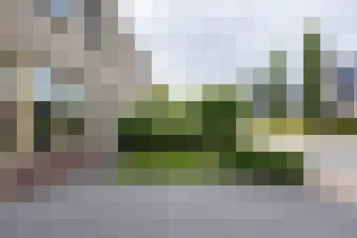 Klaproos 4 Marum thumbnail 15