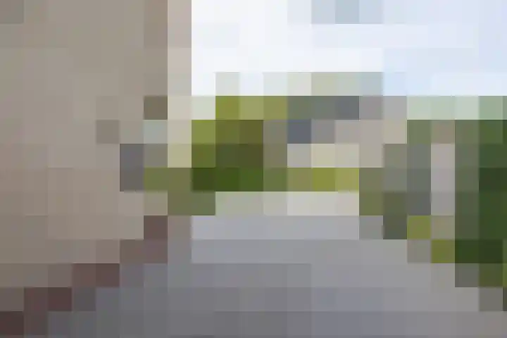 Klaproos 4 Marum thumbnail 16