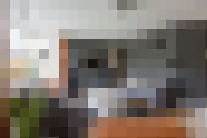 Klaproos 4 Marum thumbnail 23