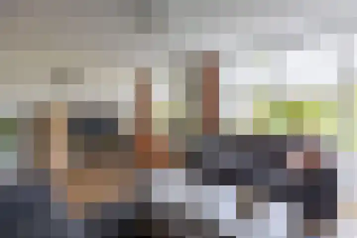 Klaproos 4 Marum thumbnail 25