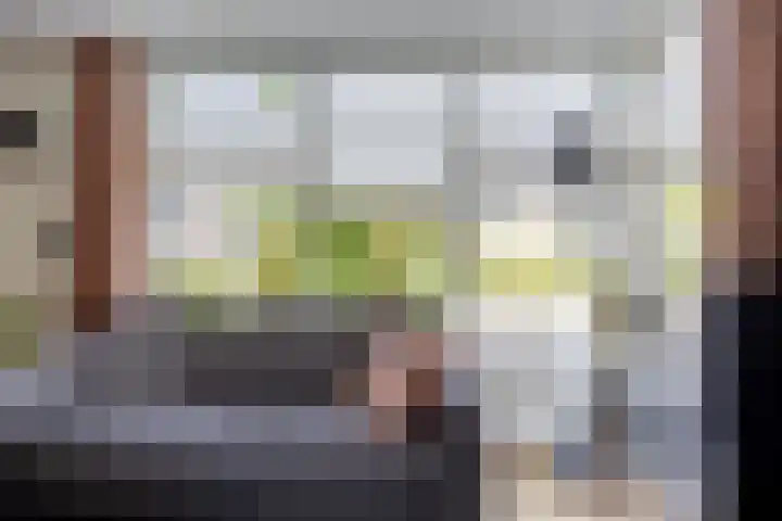Klaproos 4 Marum thumbnail 26