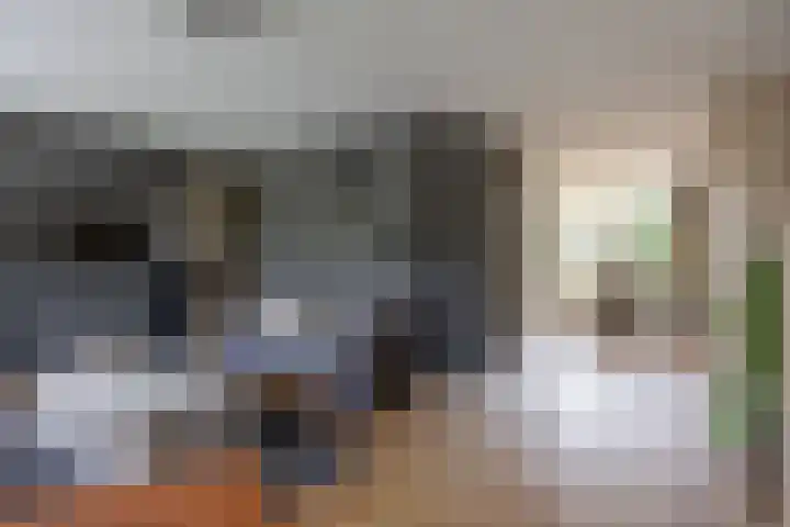 Klaproos 4 Marum thumbnail 27