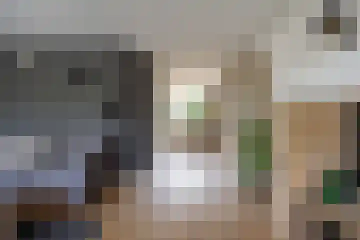 Klaproos 4 Marum thumbnail 28