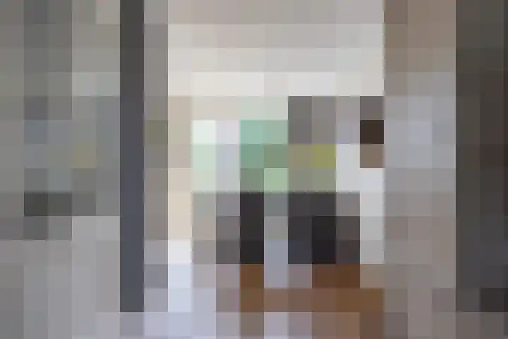 Klaproos 4 Marum thumbnail 29