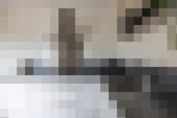 Klaproos 4 Marum thumbnail 32
