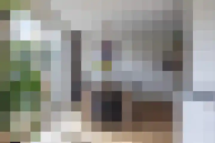 Klaproos 4 Marum thumbnail 35