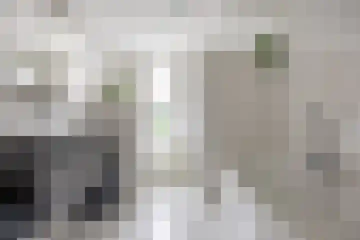 Klaproos 4 Marum thumbnail 4