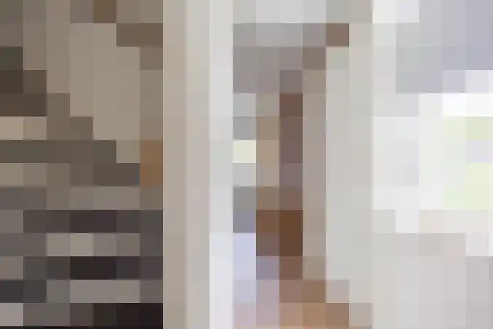 Klaproos 4 Marum thumbnail 40