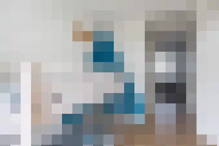 Klaproos 4 Marum thumbnail 44