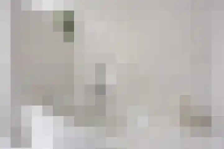 Klaproos 4 Marum thumbnail 49