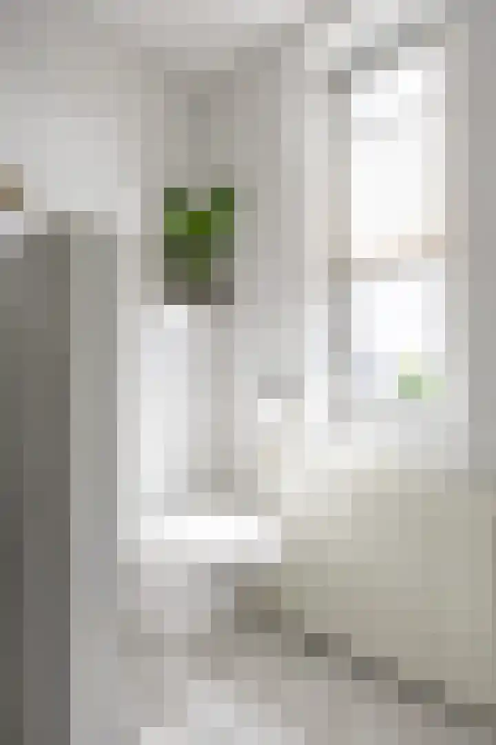 Klaproos 4 Marum thumbnail 50