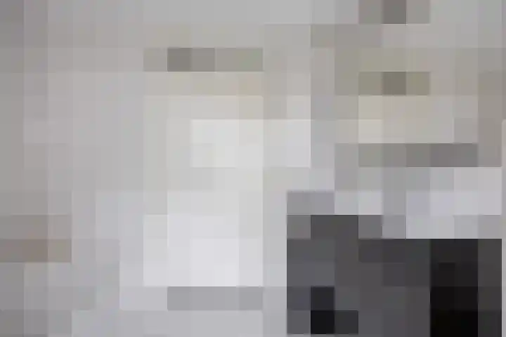 Klaproos 4 Marum thumbnail 52