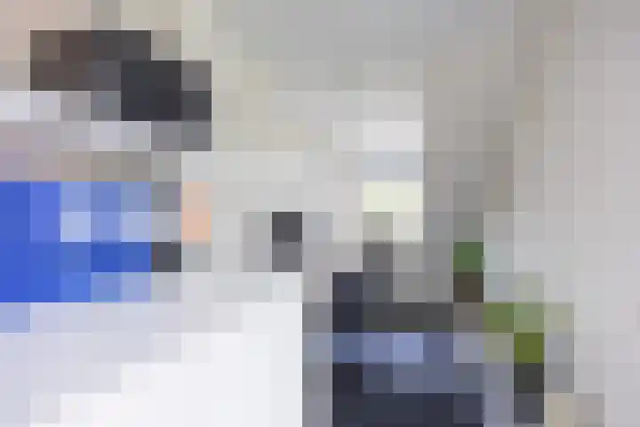 Klaproos 4 Marum thumbnail 56
