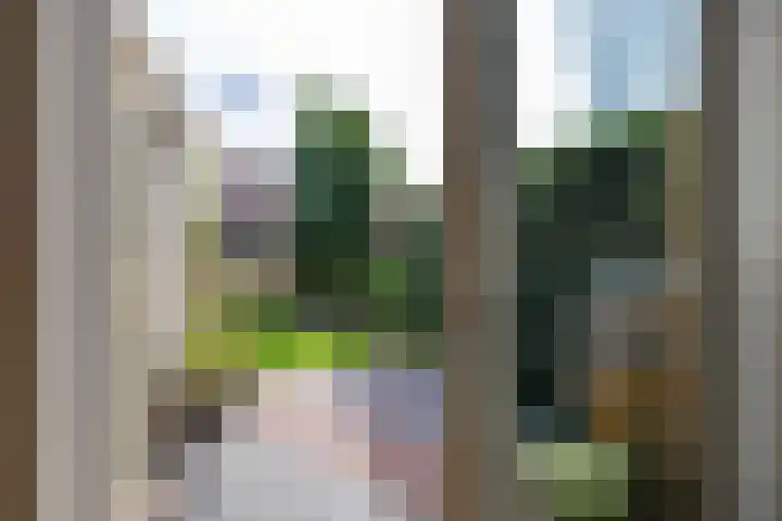 Klaproos 4 Marum thumbnail 63