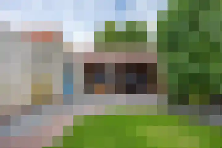 Klaproos 4 Marum thumbnail 66