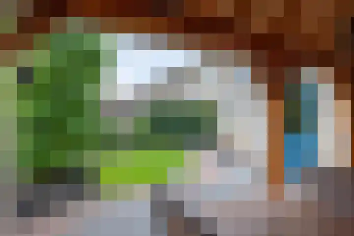 Klaproos 4 Marum thumbnail 67