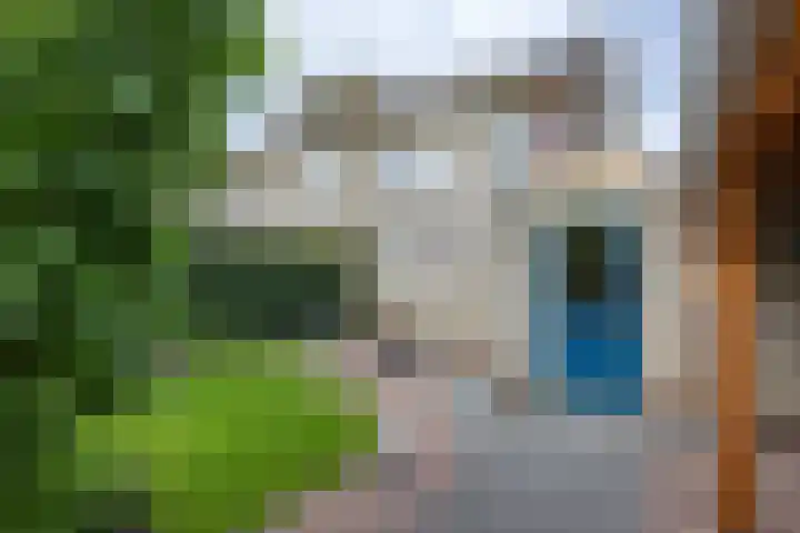 Klaproos 4 Marum thumbnail 72
