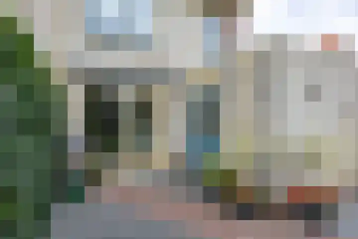 Klaproos 4 Marum thumbnail 75