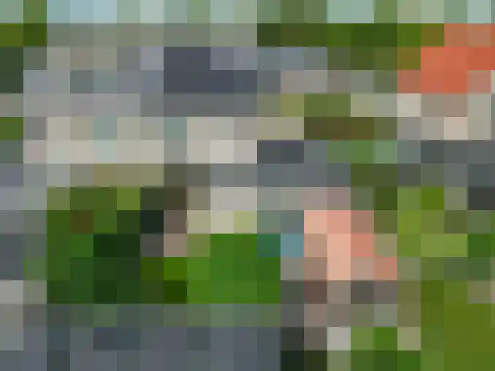 Klaproos 4 Marum thumbnail 77