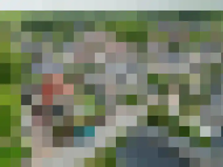 Klaproos 4 Marum thumbnail 8