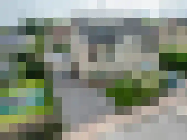 Klaproos 4 Marum thumbnail 9