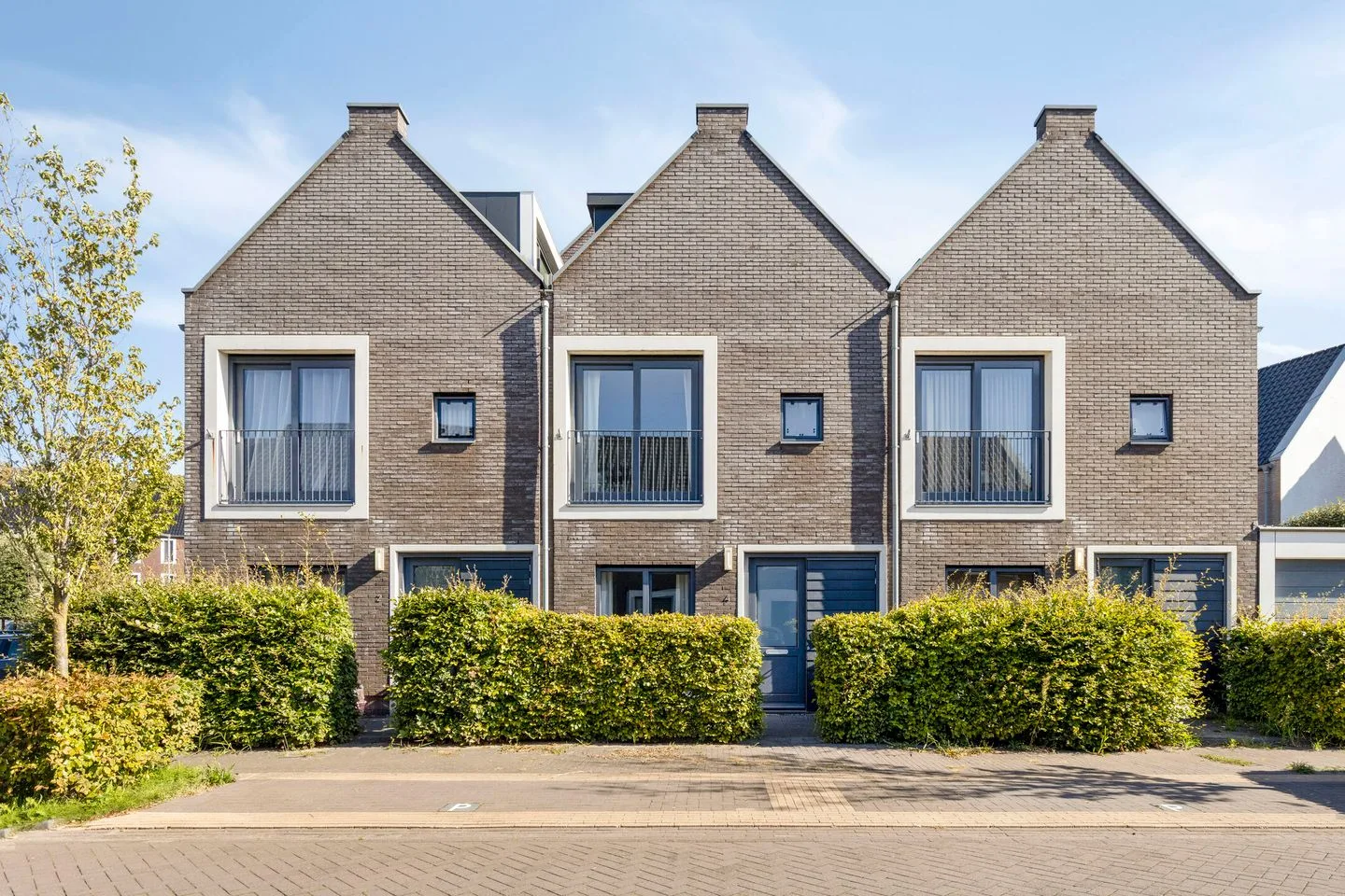 Klaproos 4 Ouderkerk aan de Amstel foto 2