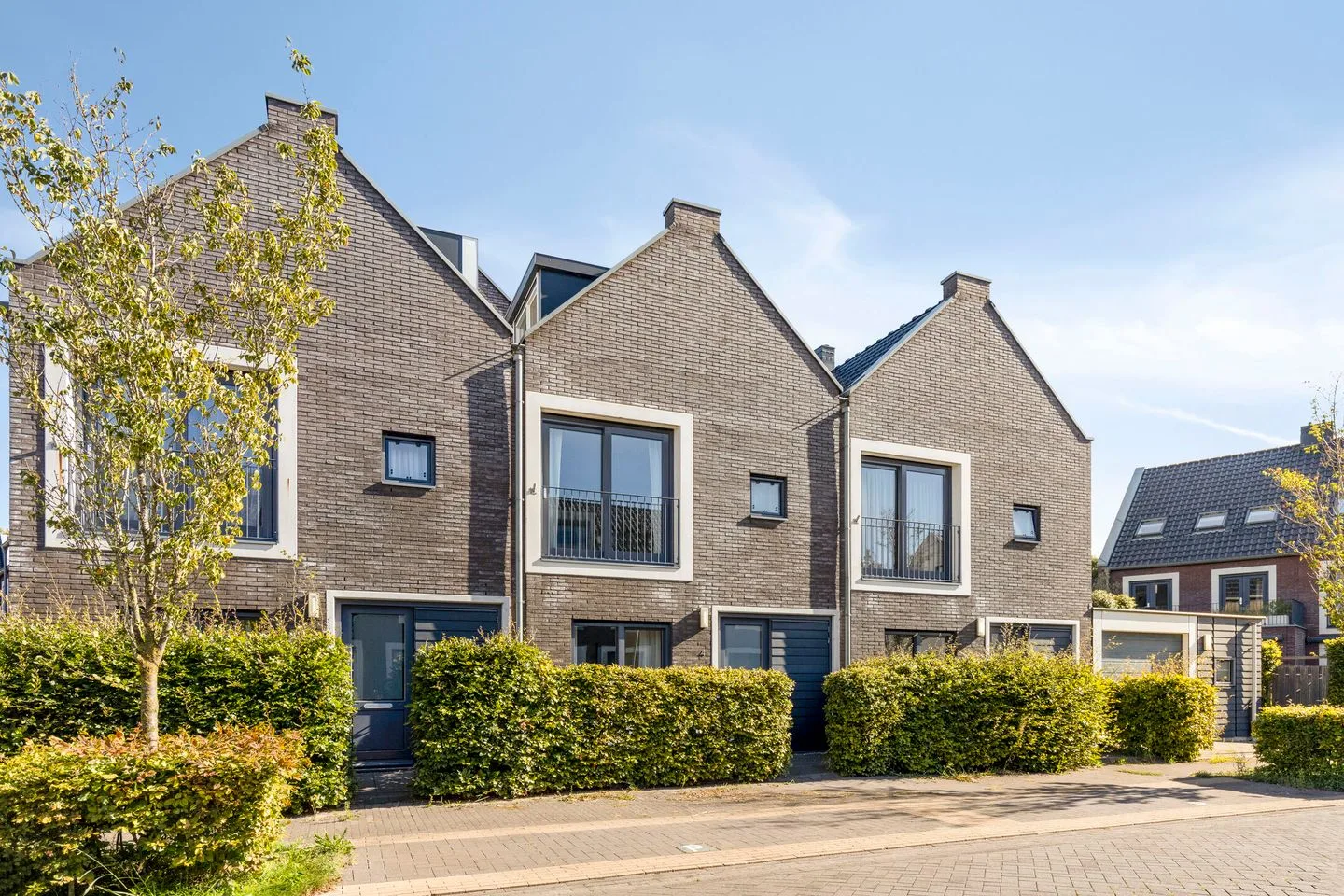 Klaproos 4 Ouderkerk aan de Amstel thumbnail 4