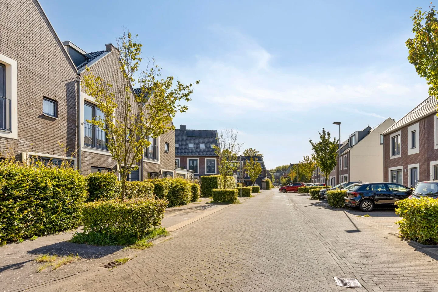 Klaproos 4 Ouderkerk aan de Amstel thumbnail 5