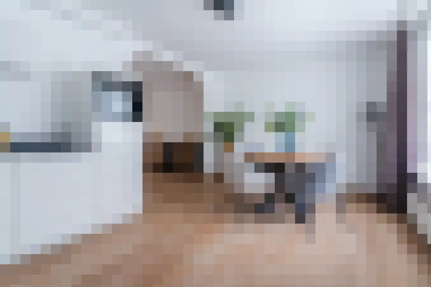 Klaproos 40 Hapert thumbnail 10