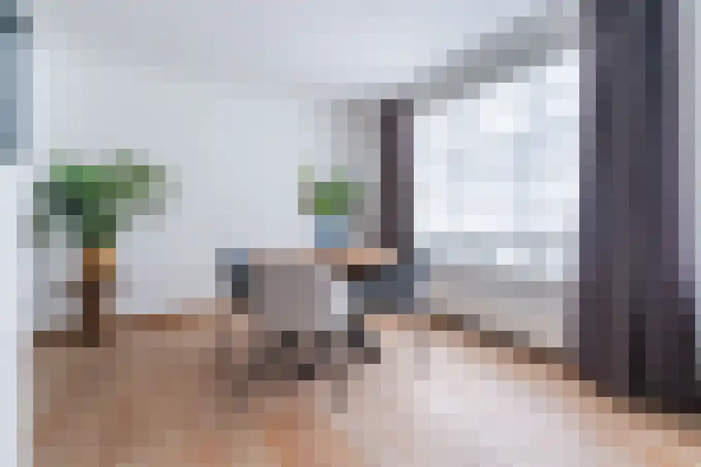 Klaproos 40 Hapert thumbnail 11