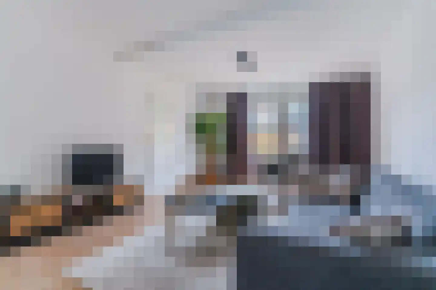 Klaproos 40 Hapert thumbnail 14
