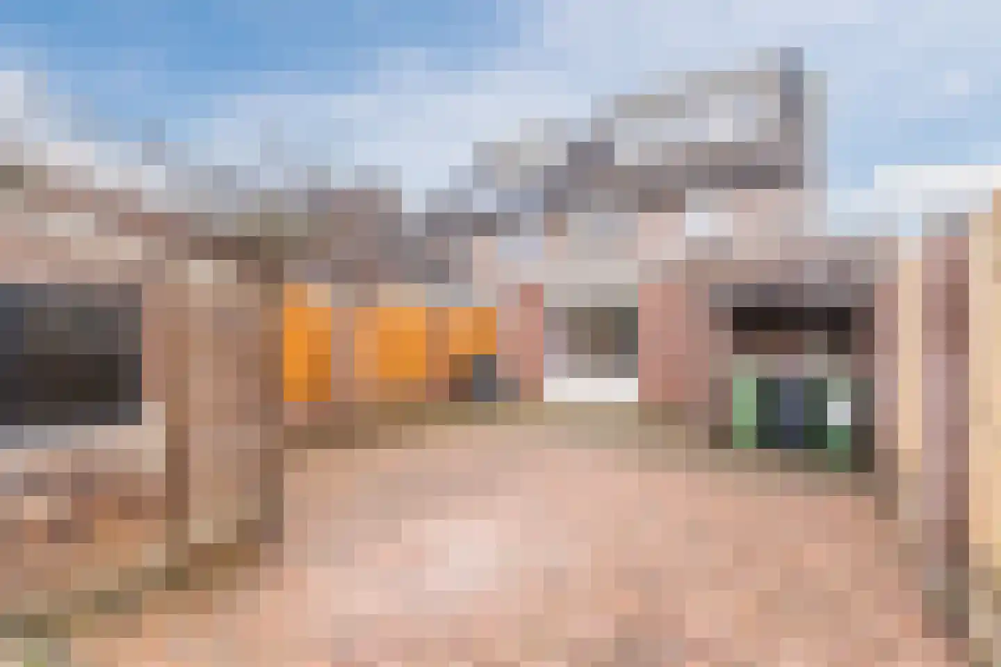 Klaproos 40 Hapert thumbnail 33
