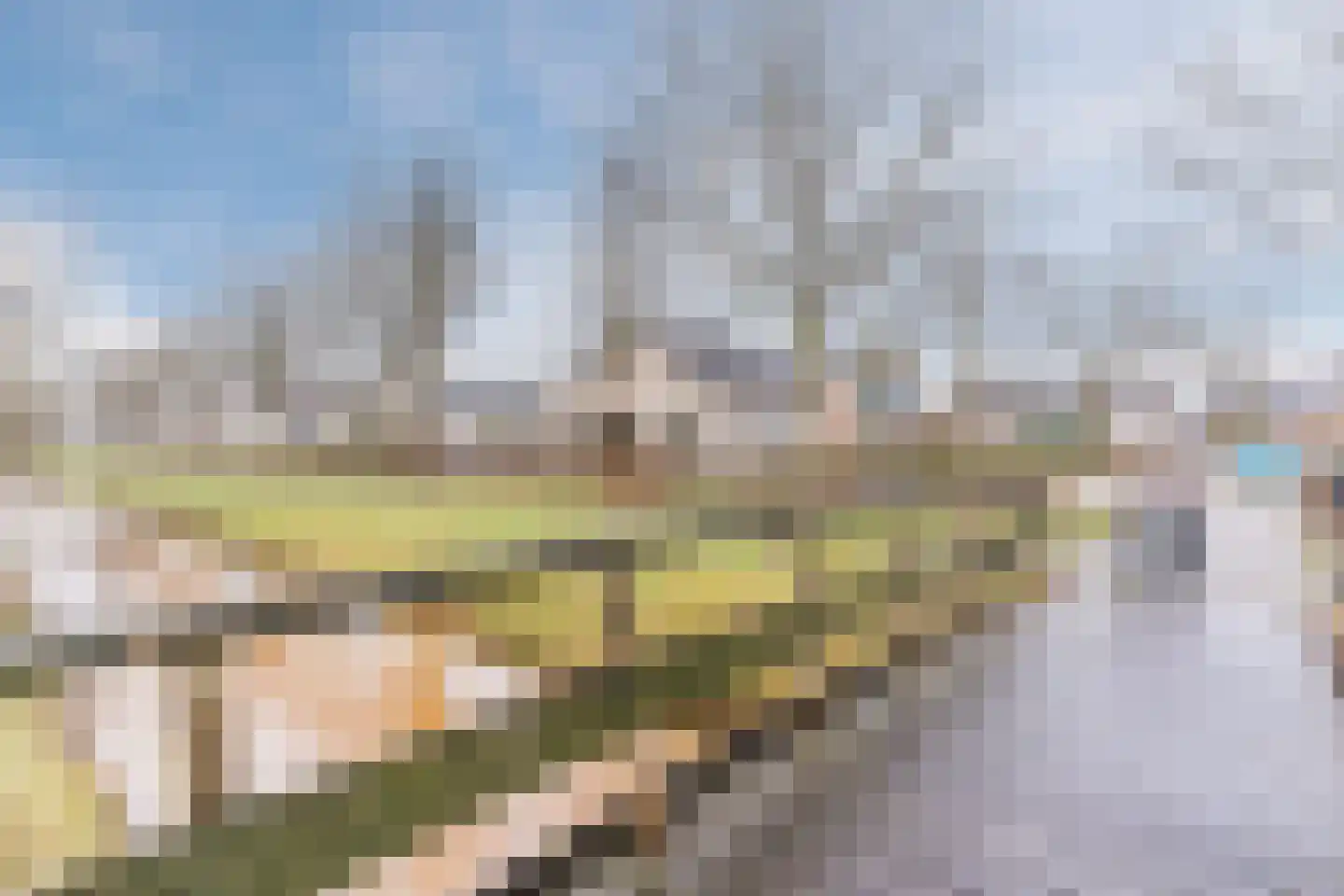 Klaproos 40 Hapert thumbnail 40